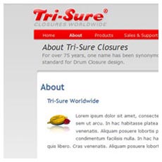 Tri-Sure Closures: UX UI Design & Development, Project Management