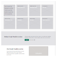 Whitelabel - Wireframe - Prototype: UX UI Design & Development