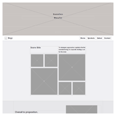 Whitelabel - Wireframe - Prototype UX UI Design & Development